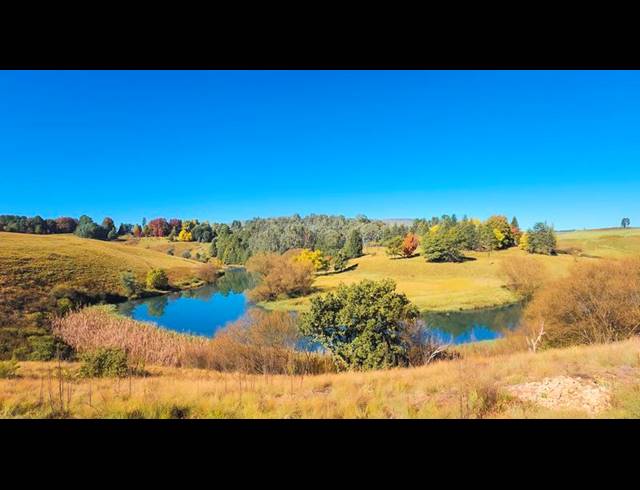 FARM FOR SALE IN UNDERBERG